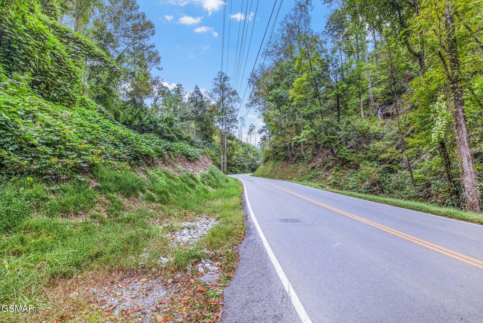 Gatlinburg, Tennessee, 37738, United States, ,Land,For Sale,1981809