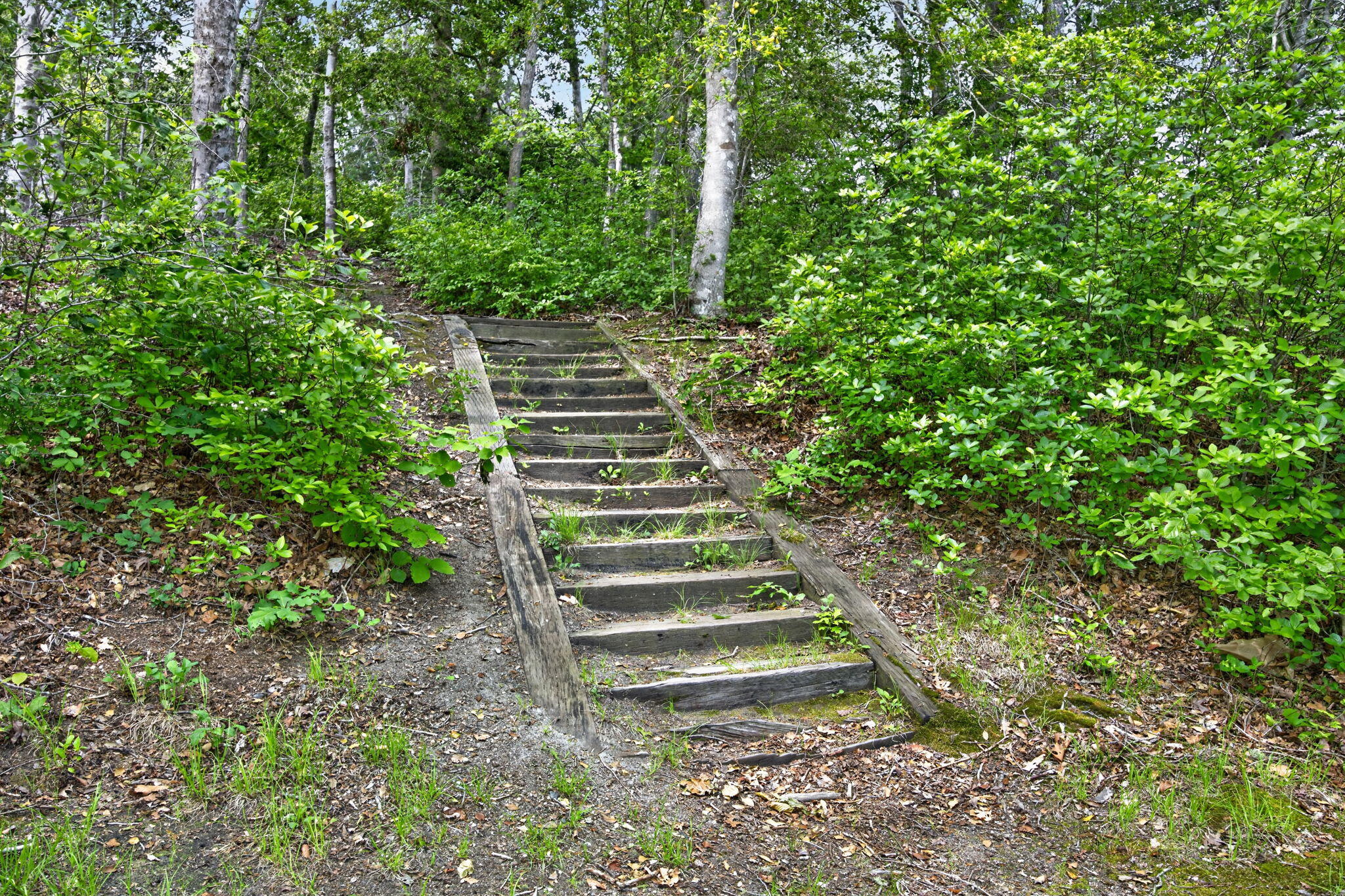  20 Hirsch Road - 物件實景