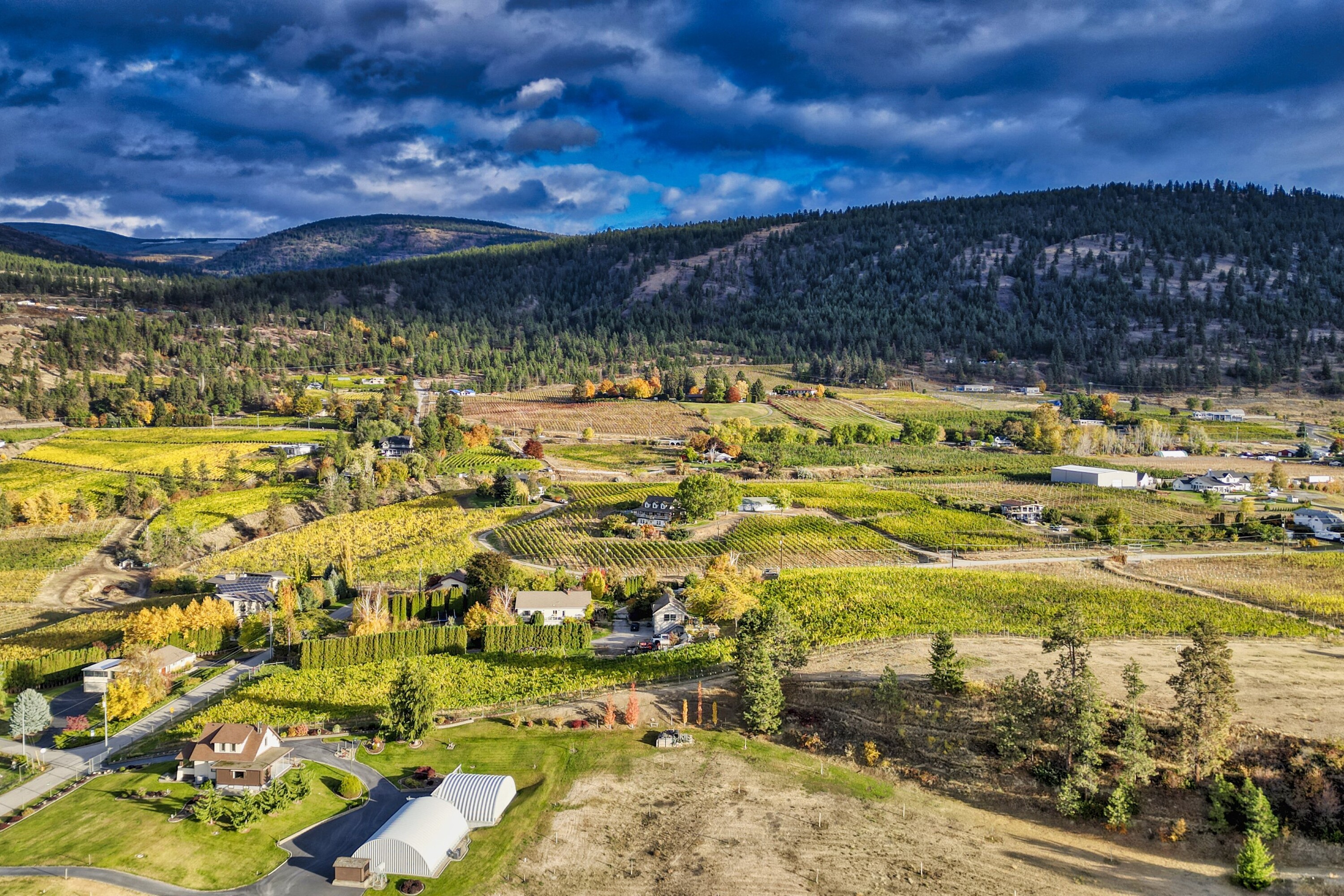  Naramata Bench Vineyard Estate - 物件實景