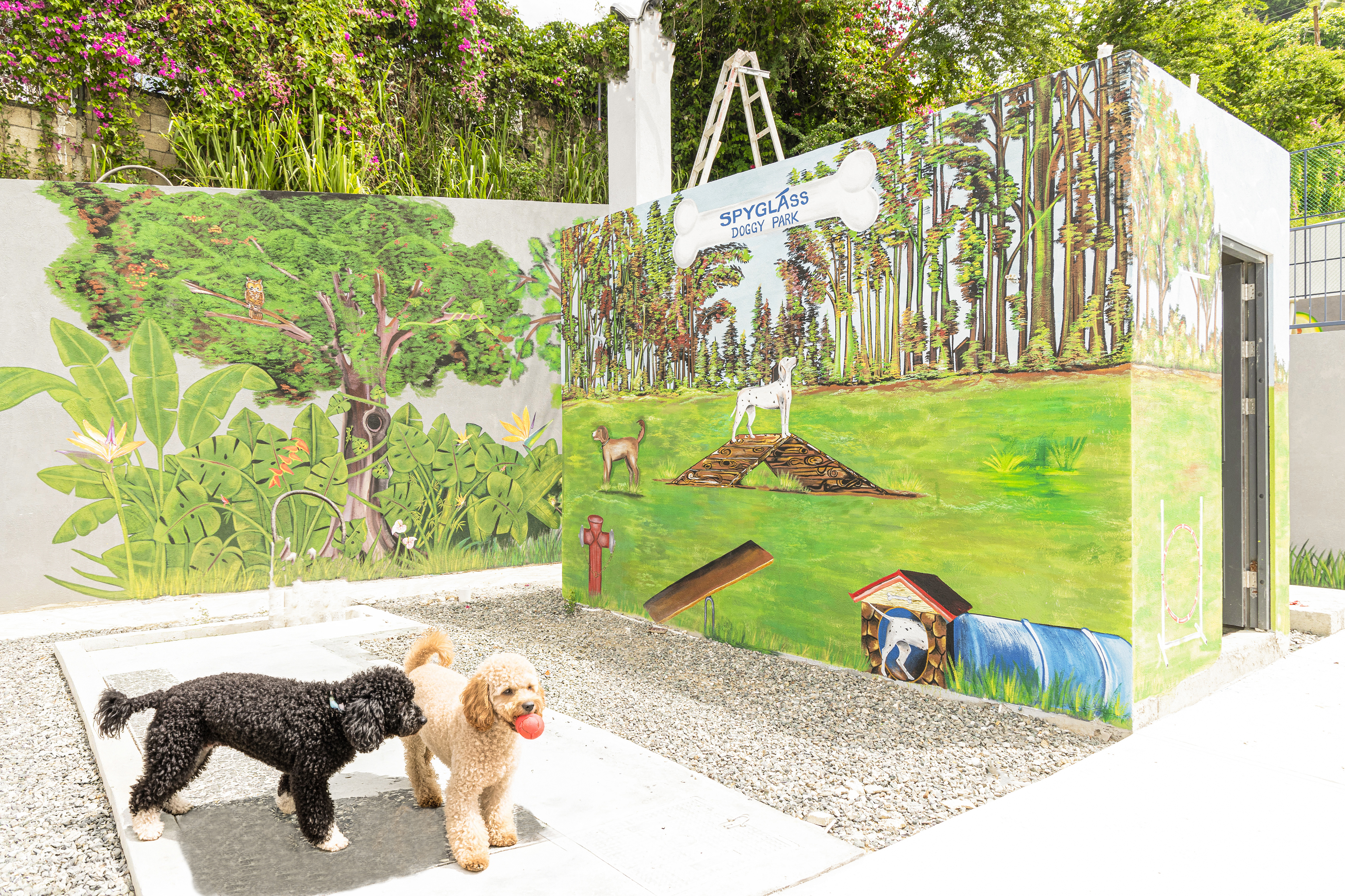  B14 Spyglass, Jackshill - 物件實景