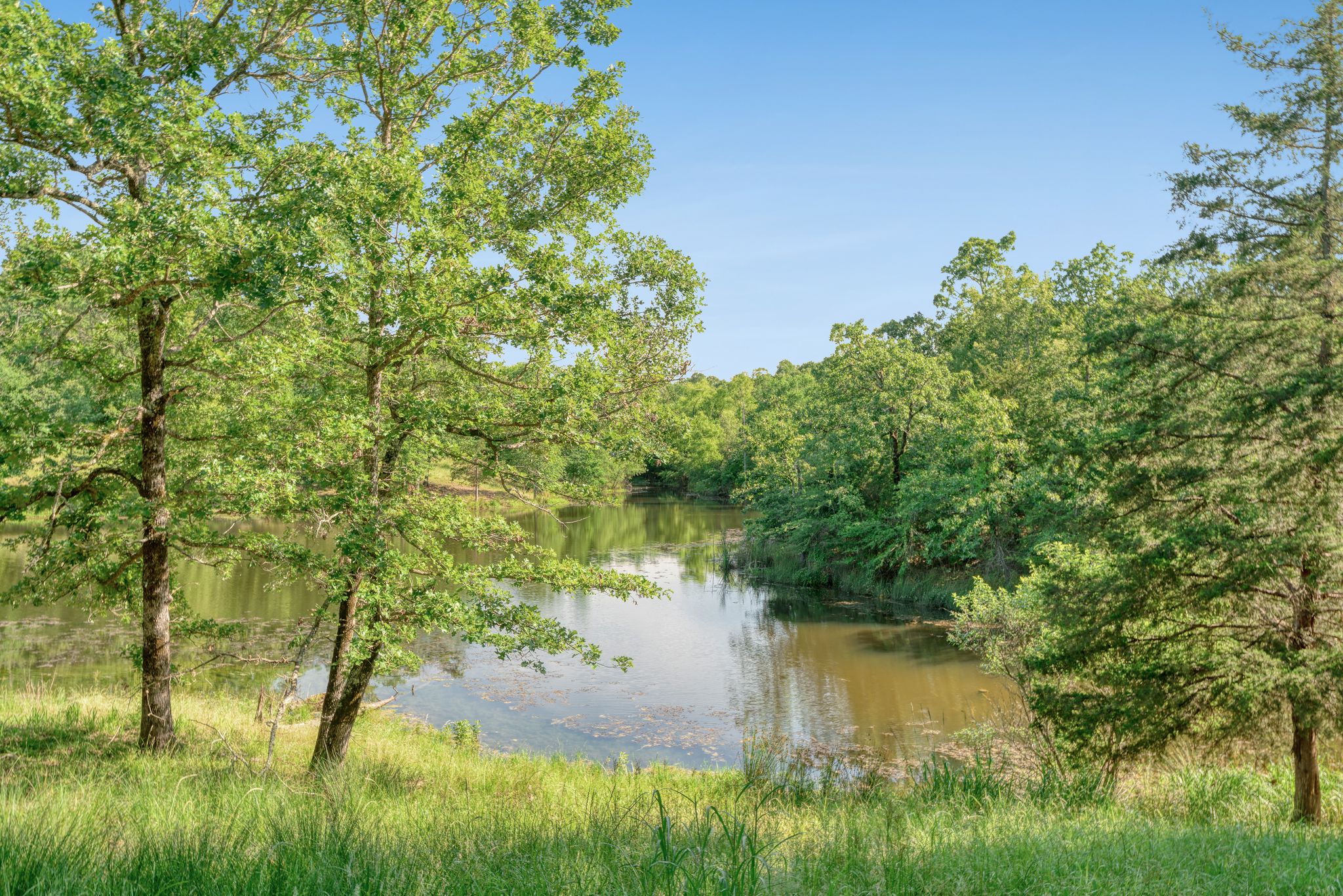 Powderly, Texas, 75473, United States, 3 Bedrooms Bedrooms, ,2 BathroomsBathrooms,Land,For Sale,1917710