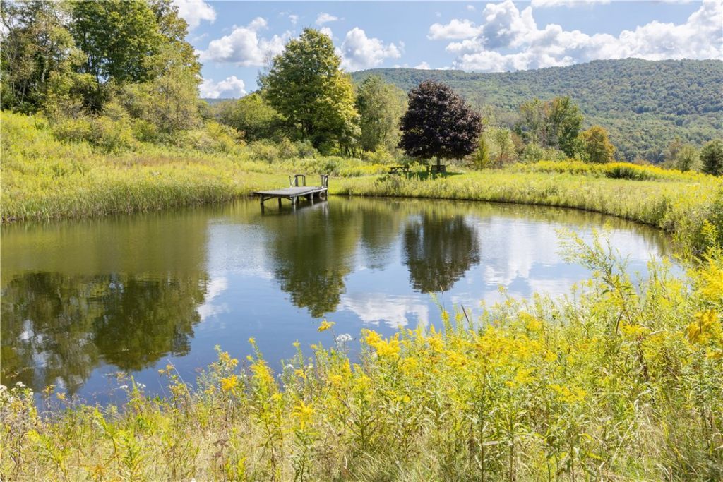 Walton, New York, 13856, United States, 4 Bedrooms Bedrooms, ,4 BathroomsBathrooms,Residential,For Sale,1947097