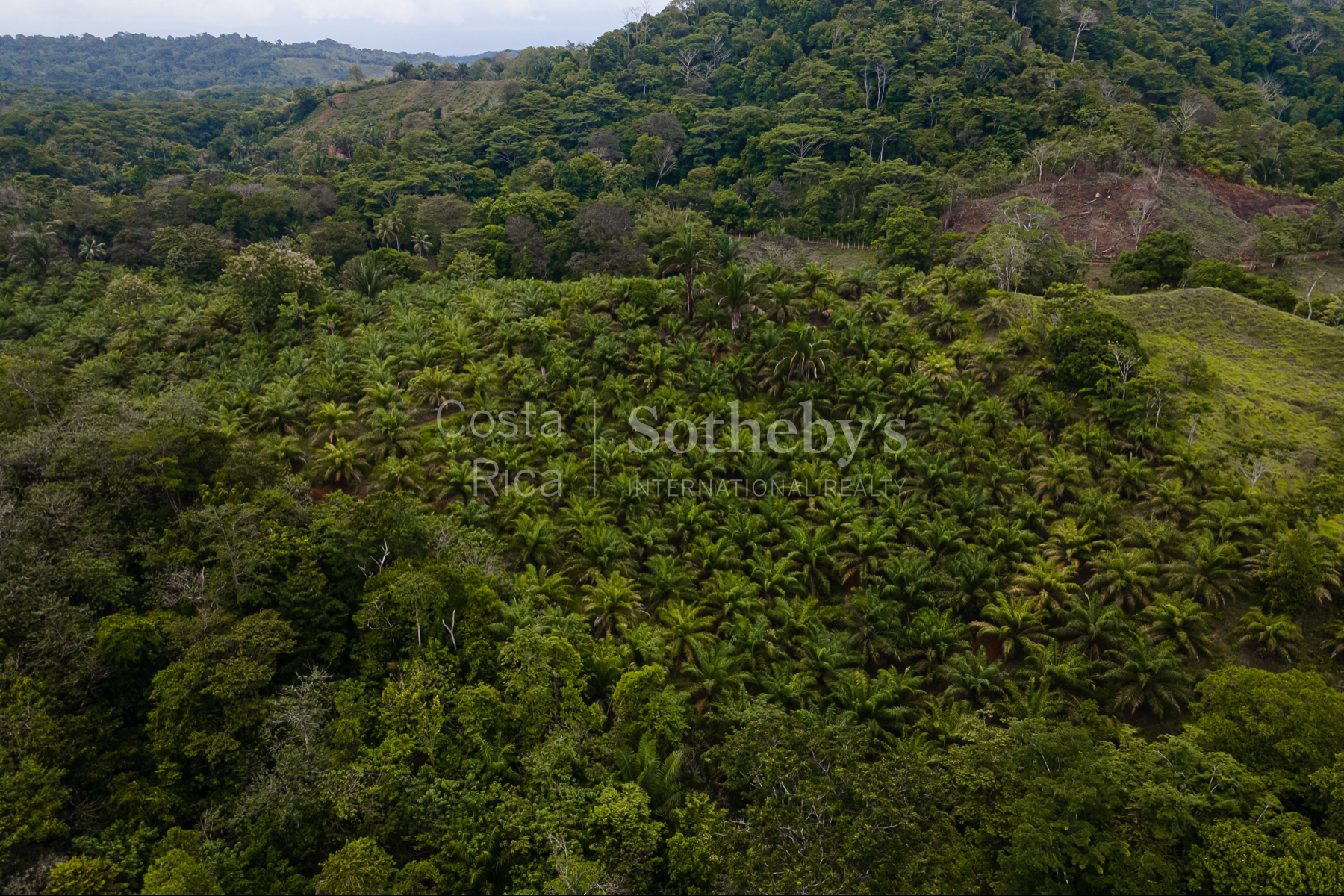  Ocean and River Views in Pristine South Costa Rica - 物件實景