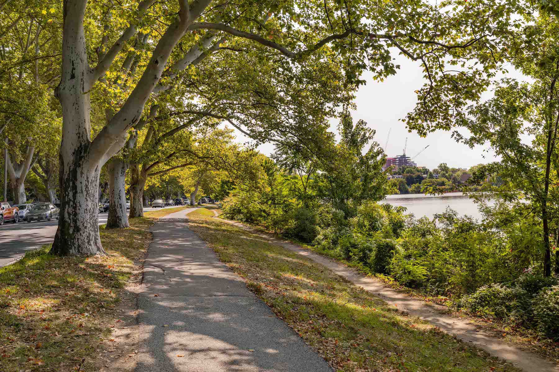  984 Memorial Drive, Cambridge, MA, 02138 - 物件實景