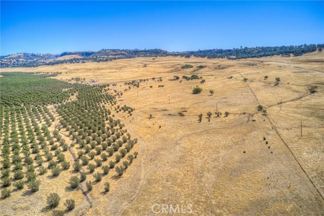 Oroville, California, 95965, United States, ,Land,For Sale,1978815
