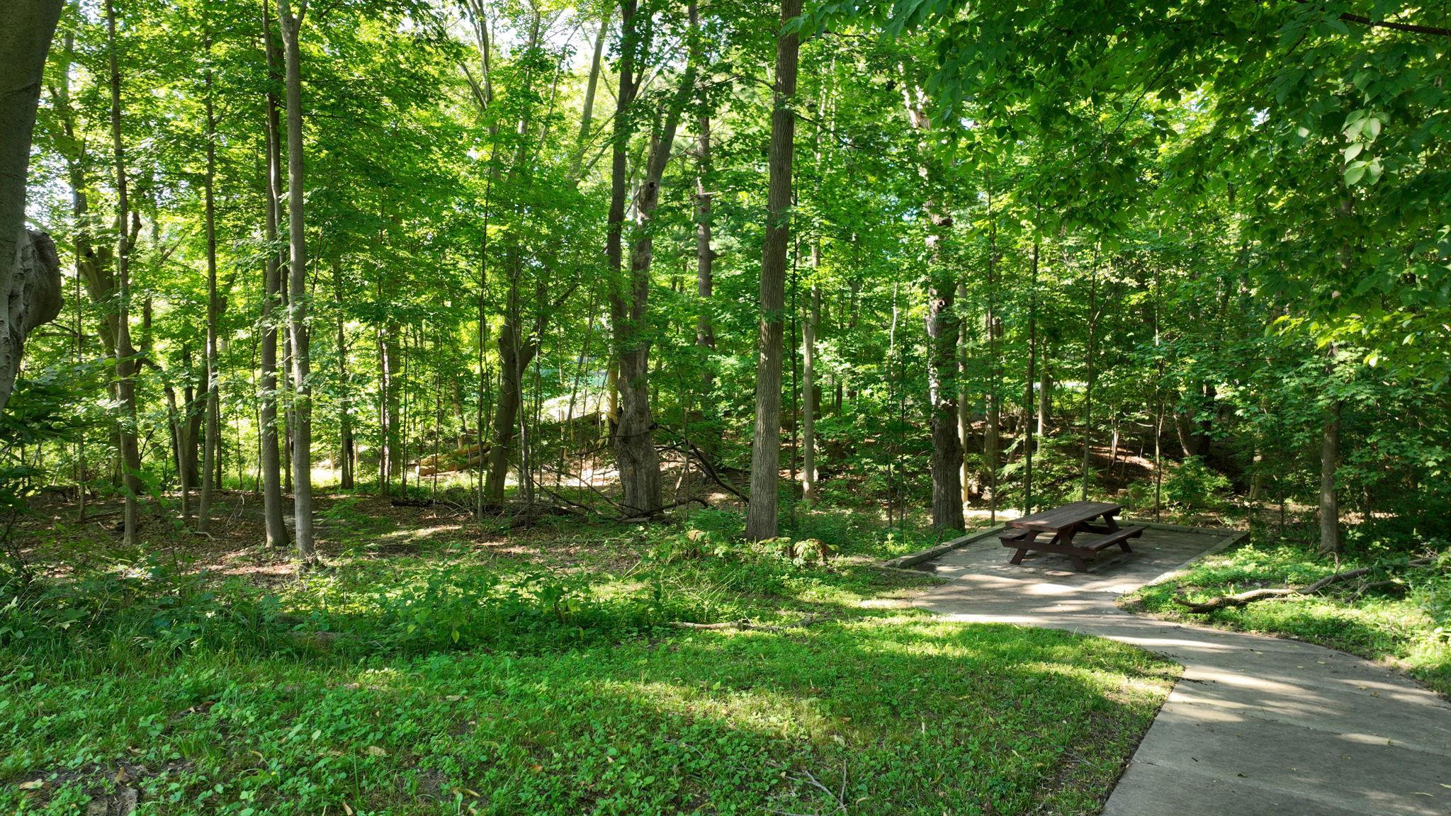 Midland, Michigan, 48640, United States, 9 Bedrooms Bedrooms, ,5 BathroomsBathrooms,Residential,For Sale,1943918