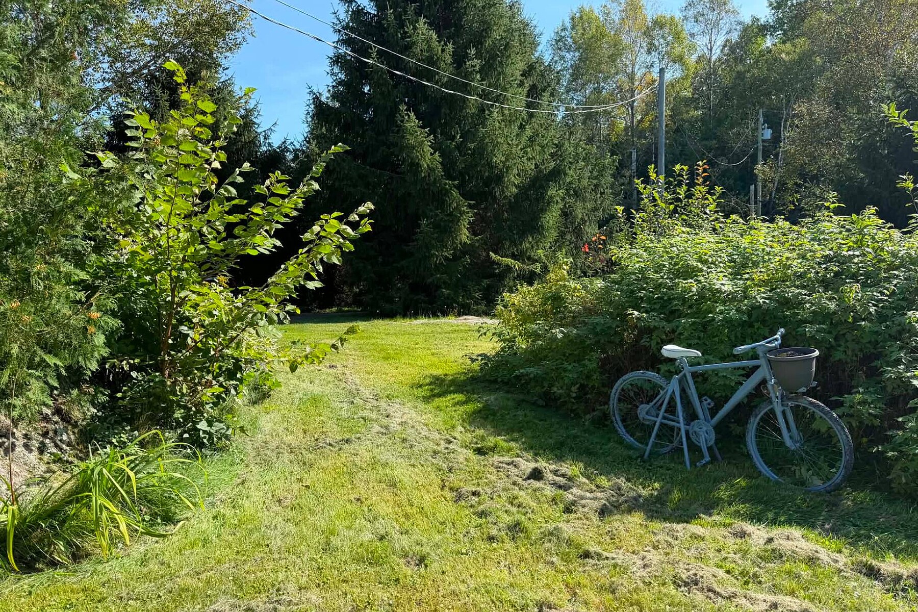  Mont-Tremblant, Laurentides - 物件實景