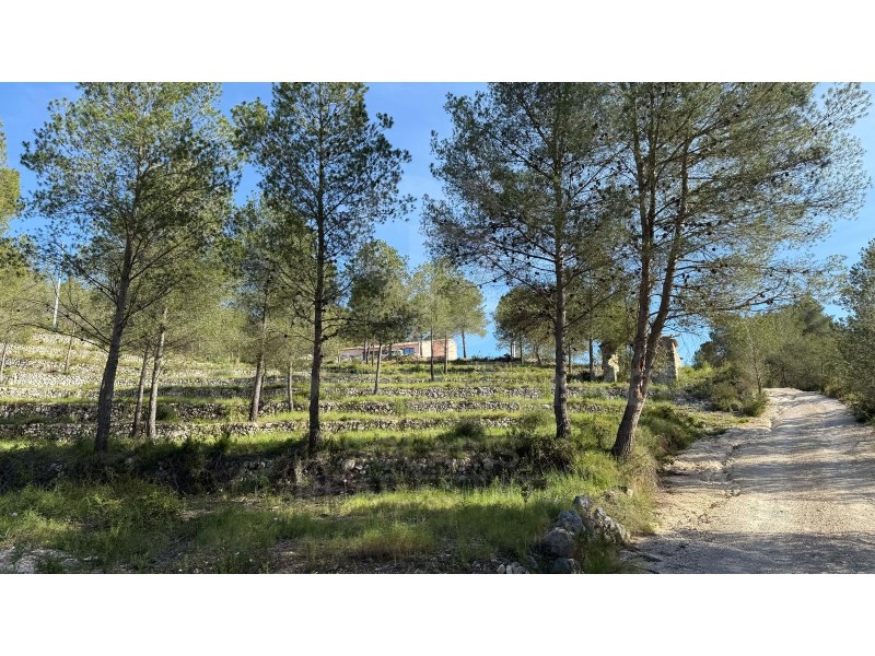 Jávea / Xàbia, Comunidad Valenciana, ES, 5 Bedrooms Bedrooms, ,5 BathroomsBathrooms,Residential,For Sale,1759817
