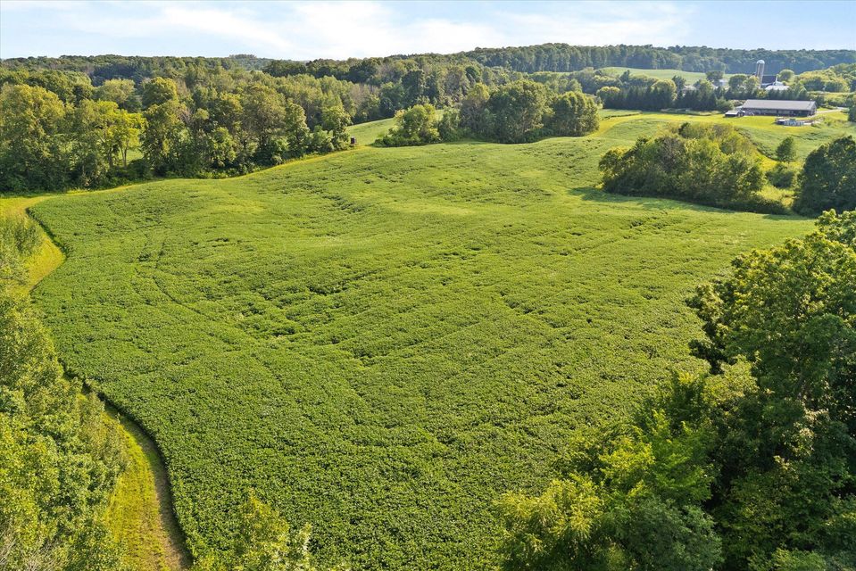 Rhine, Wisconsin, 53020, United States, ,Land,For Sale,1983397