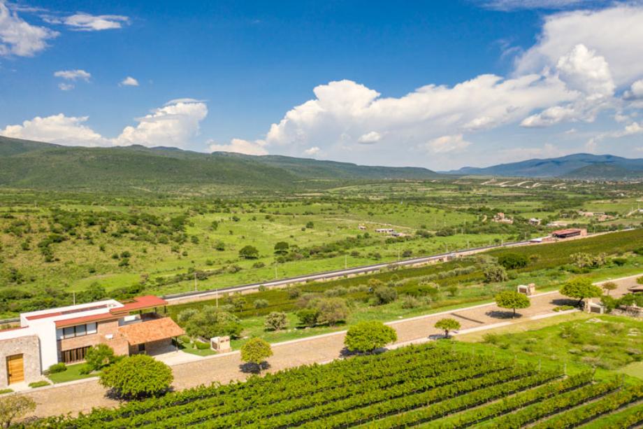 Malbec, San Miguel de Allende, Guanajuato, 37898, Mexico, 1 Bedroom Bedrooms, ,Residential,For Sale,Malbec,1443711