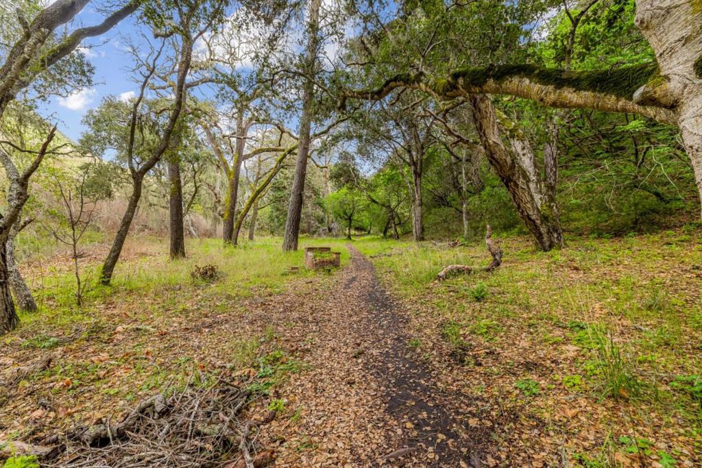 Salinas, California, 93908, United States, ,Residential,For Sale,1974881