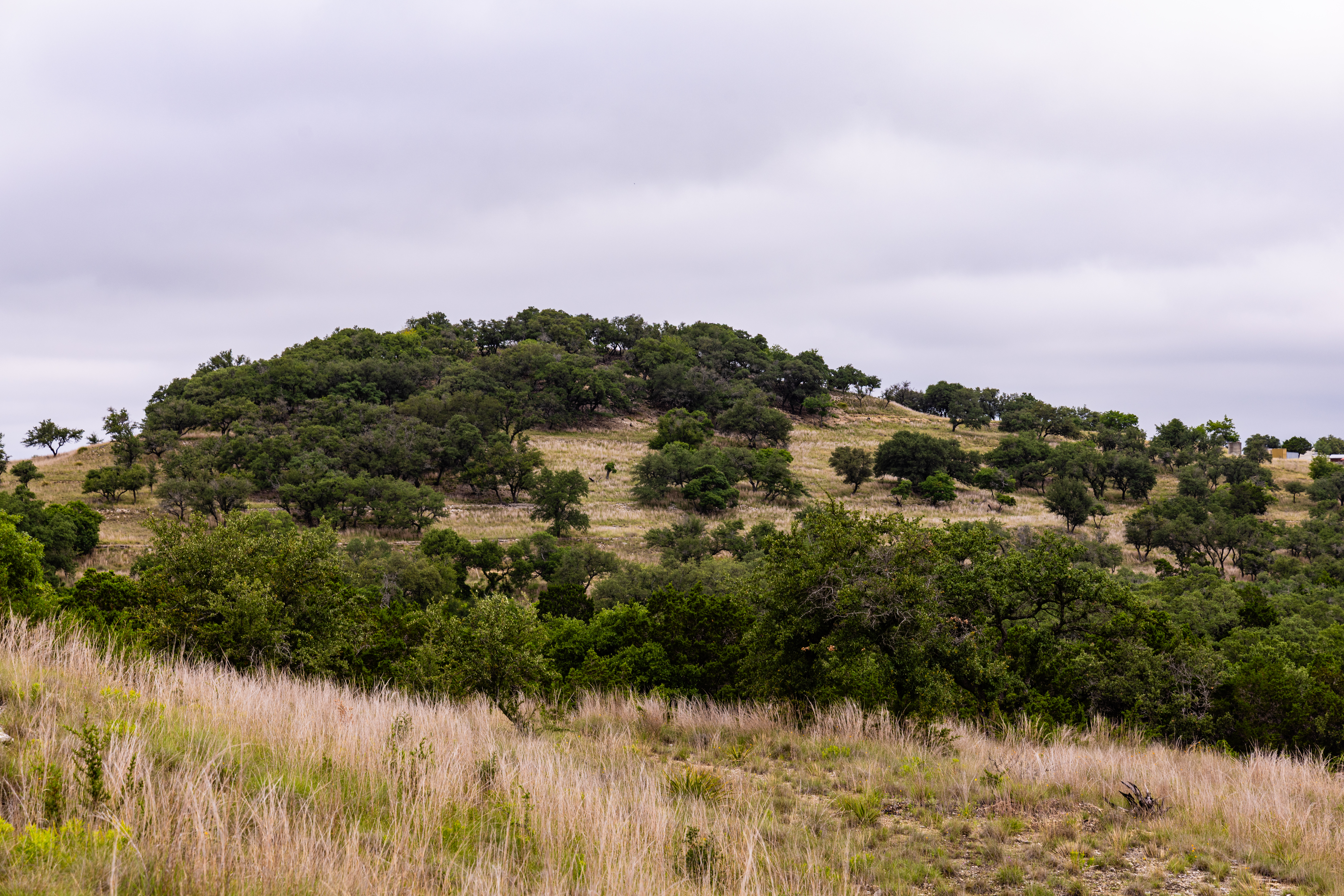  Expansive 10-Acre Lot - 物件實景