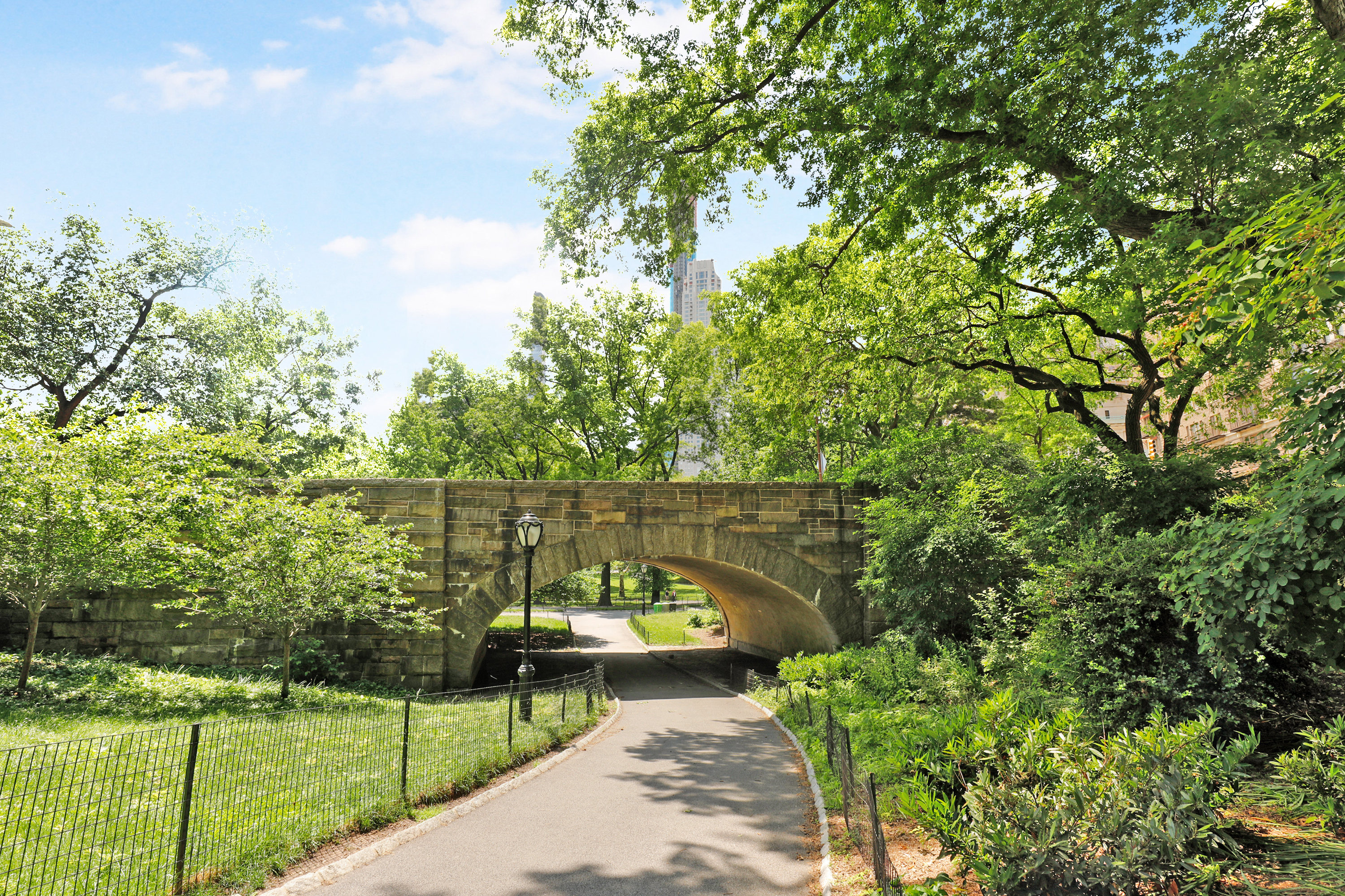  Carnegie Hill Garden Beauty - 物件實景