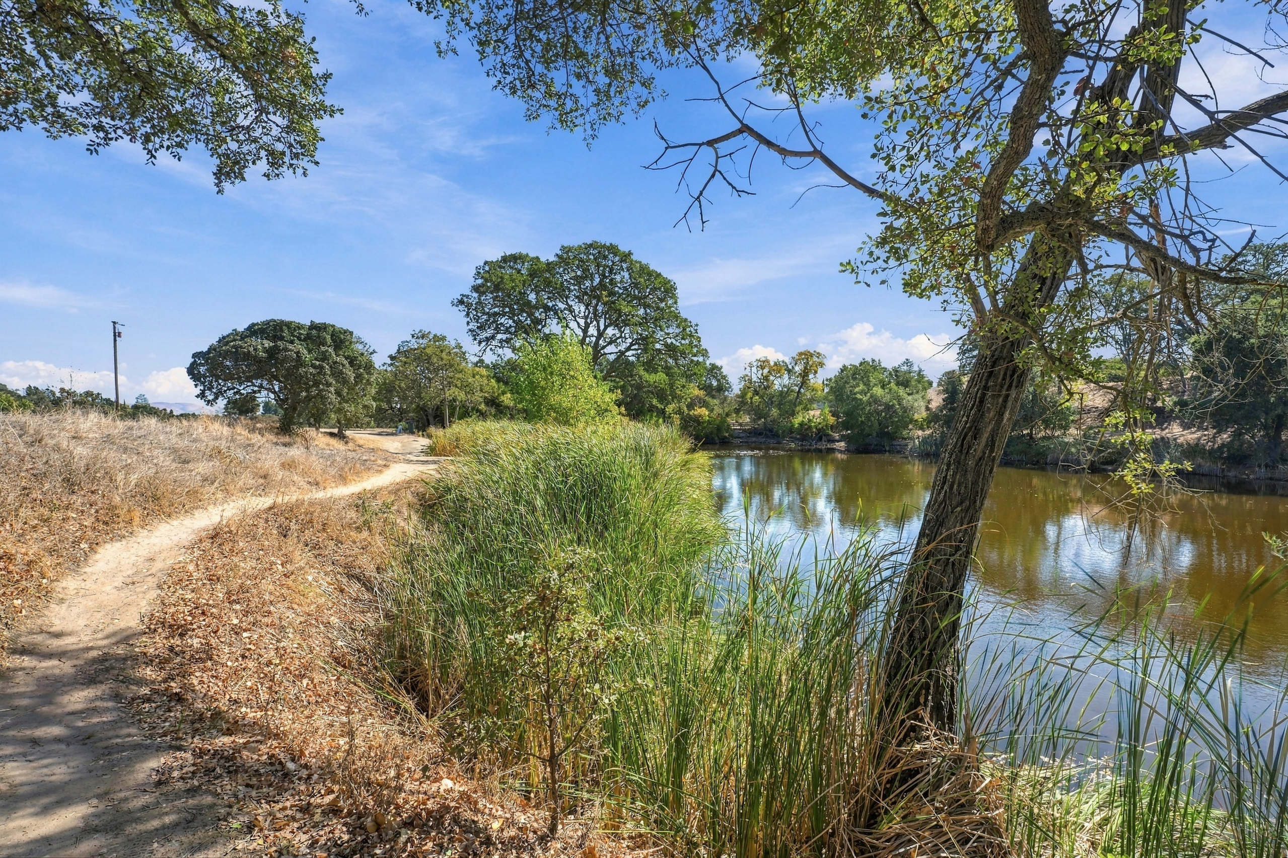  1804 Glacier Court, Martinez, CA 94553 - 物件實景