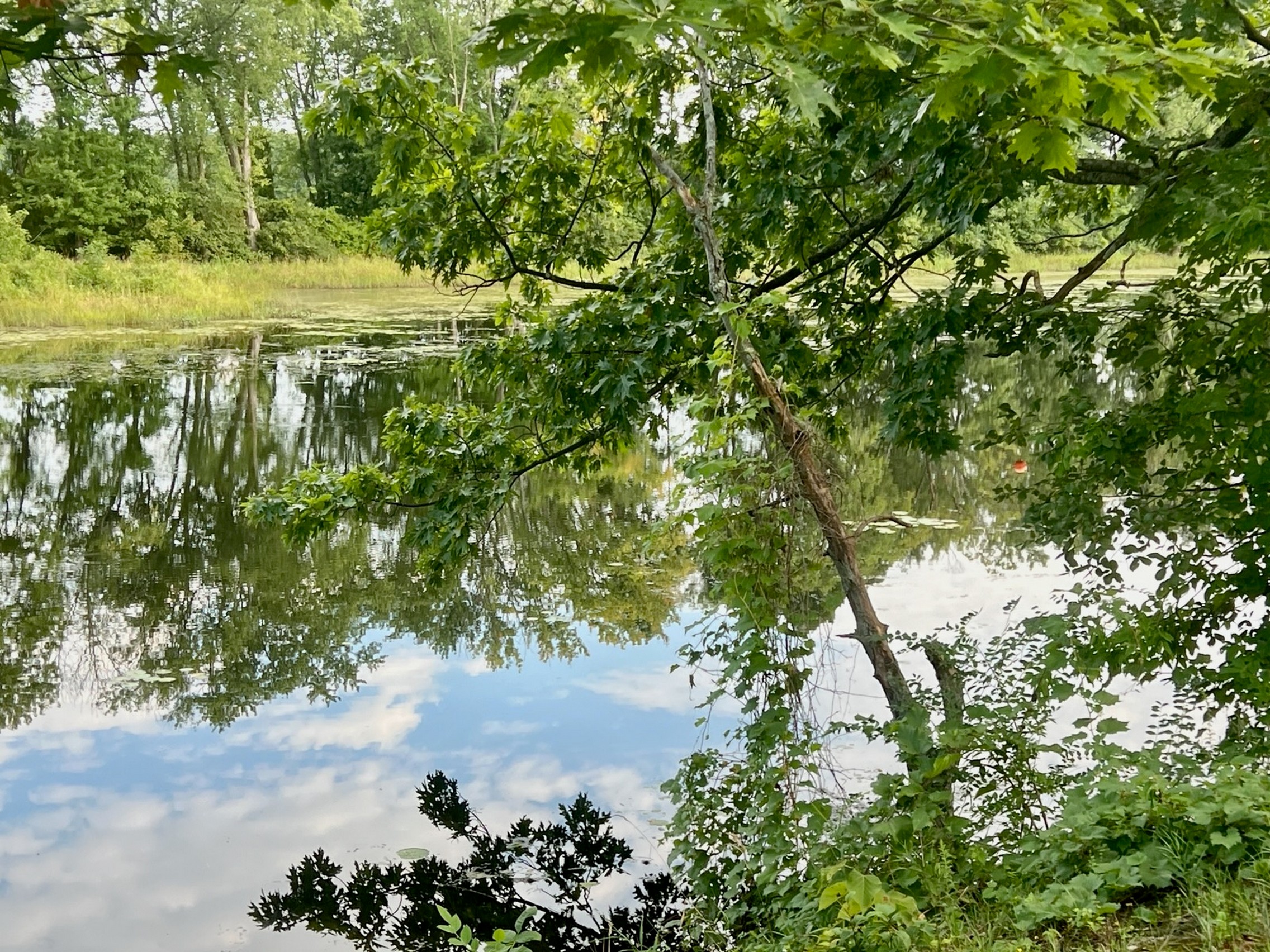 Waterfront Lot Approved for Building 