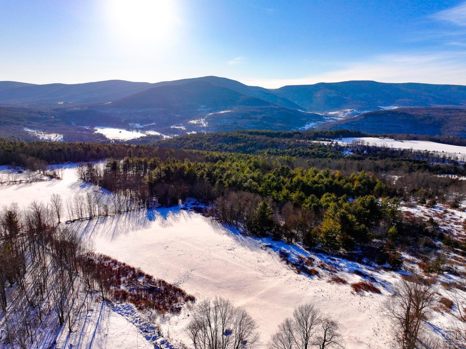 Lexington, New York, 12468, United States, ,Residential,For Sale,1707951