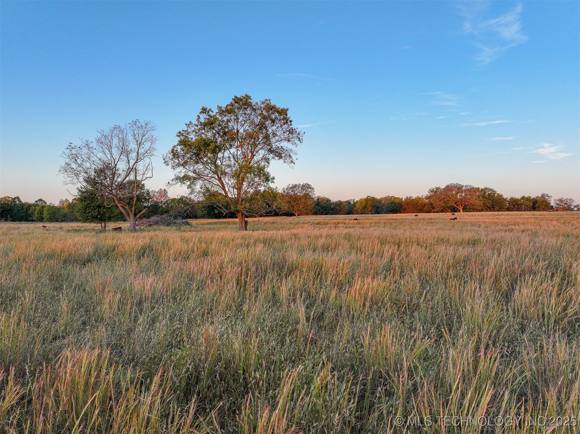 Haskell, Oklahoma, 74436, United States, ,Residential,For Sale,1989058