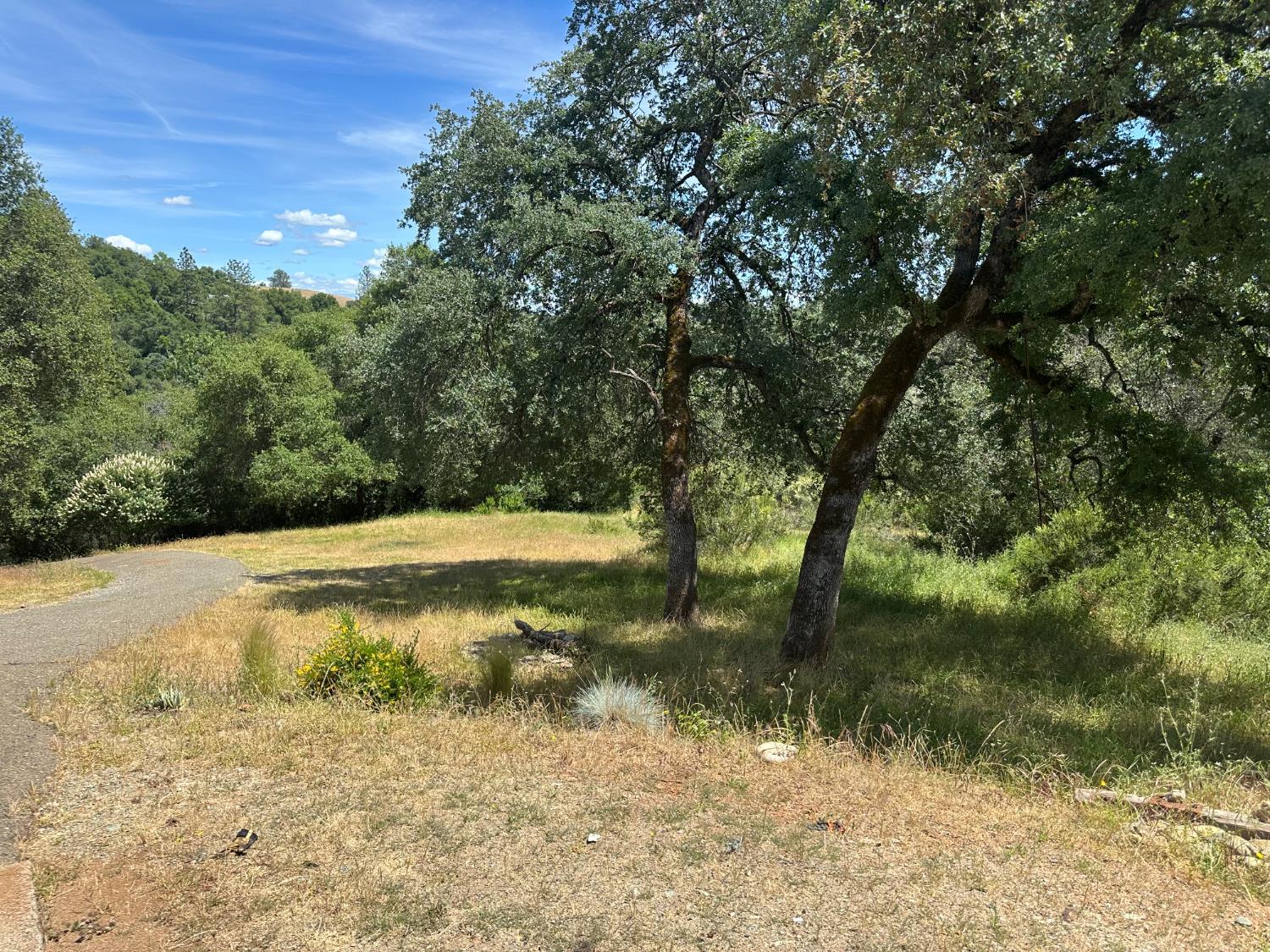 Shingle Springs, California, 95682, United States, 3 Bedrooms Bedrooms, ,2 BathroomsBathrooms,Residential,For Sale,1882228