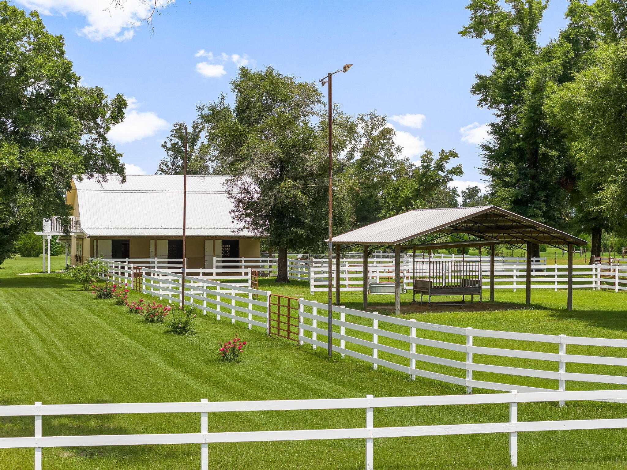 Youngstown, Florida, 32466, United States, 6 Bedrooms Bedrooms, ,6 BathroomsBathrooms,Residential,For Sale,1981831