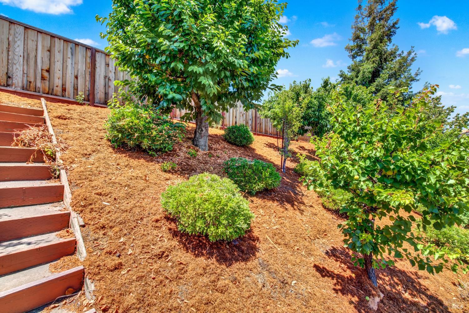Fairfield, California, 94534, United States, 5 Bedrooms Bedrooms, ,4 BathroomsBathrooms,Residential,For Sale,1892919
