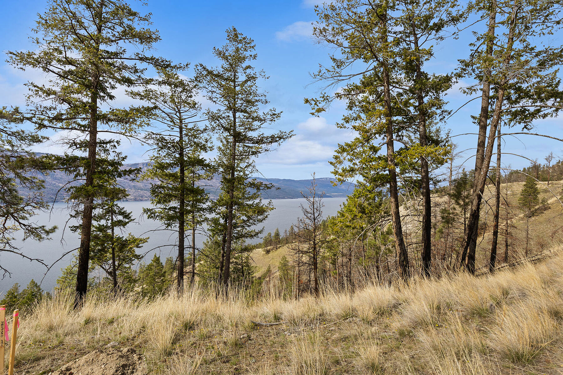  Lot 26 at Tyndall Bench - 物件實景