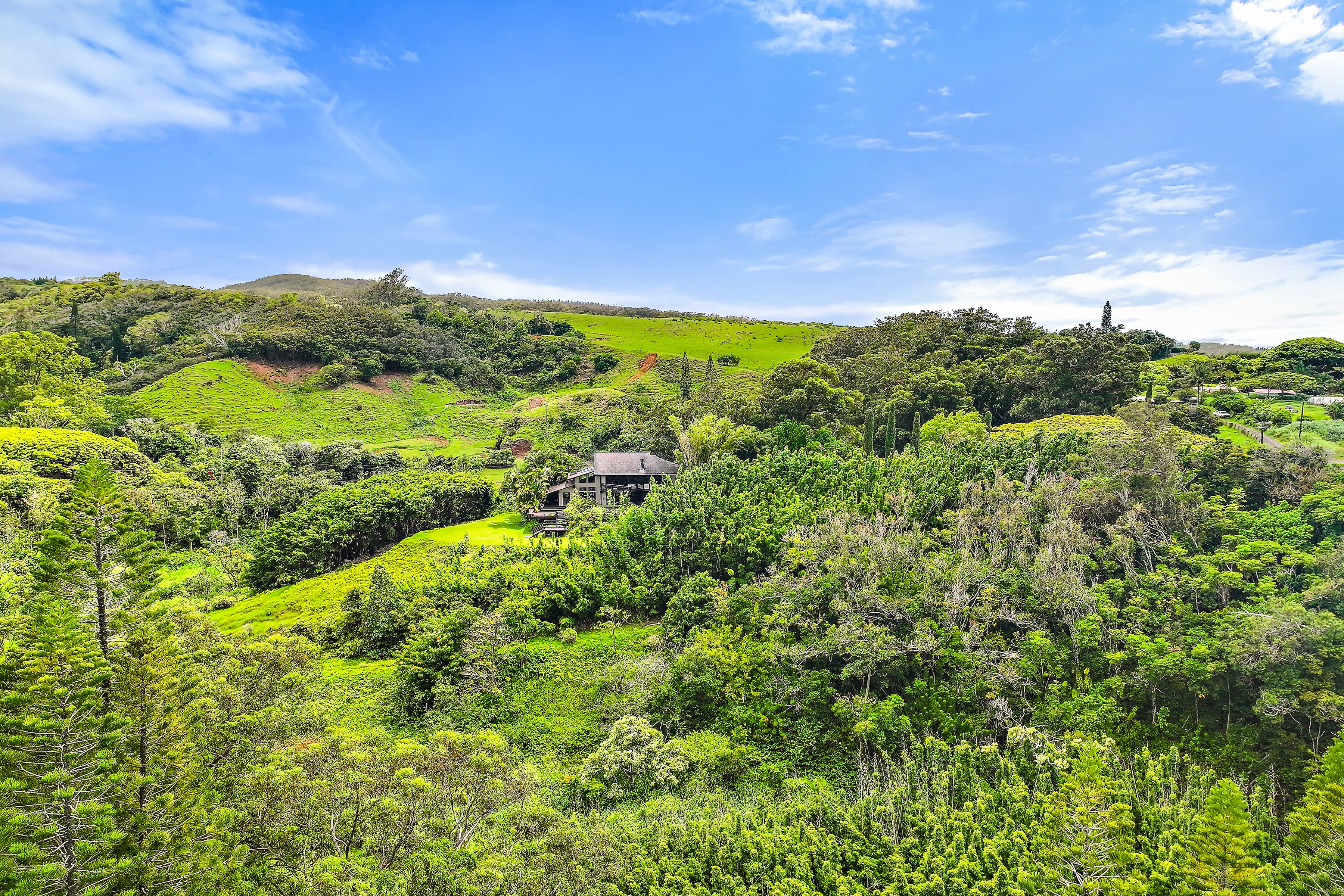  Architectural Haiku Retreat on Nearly 10 Private Acres - 物件實景