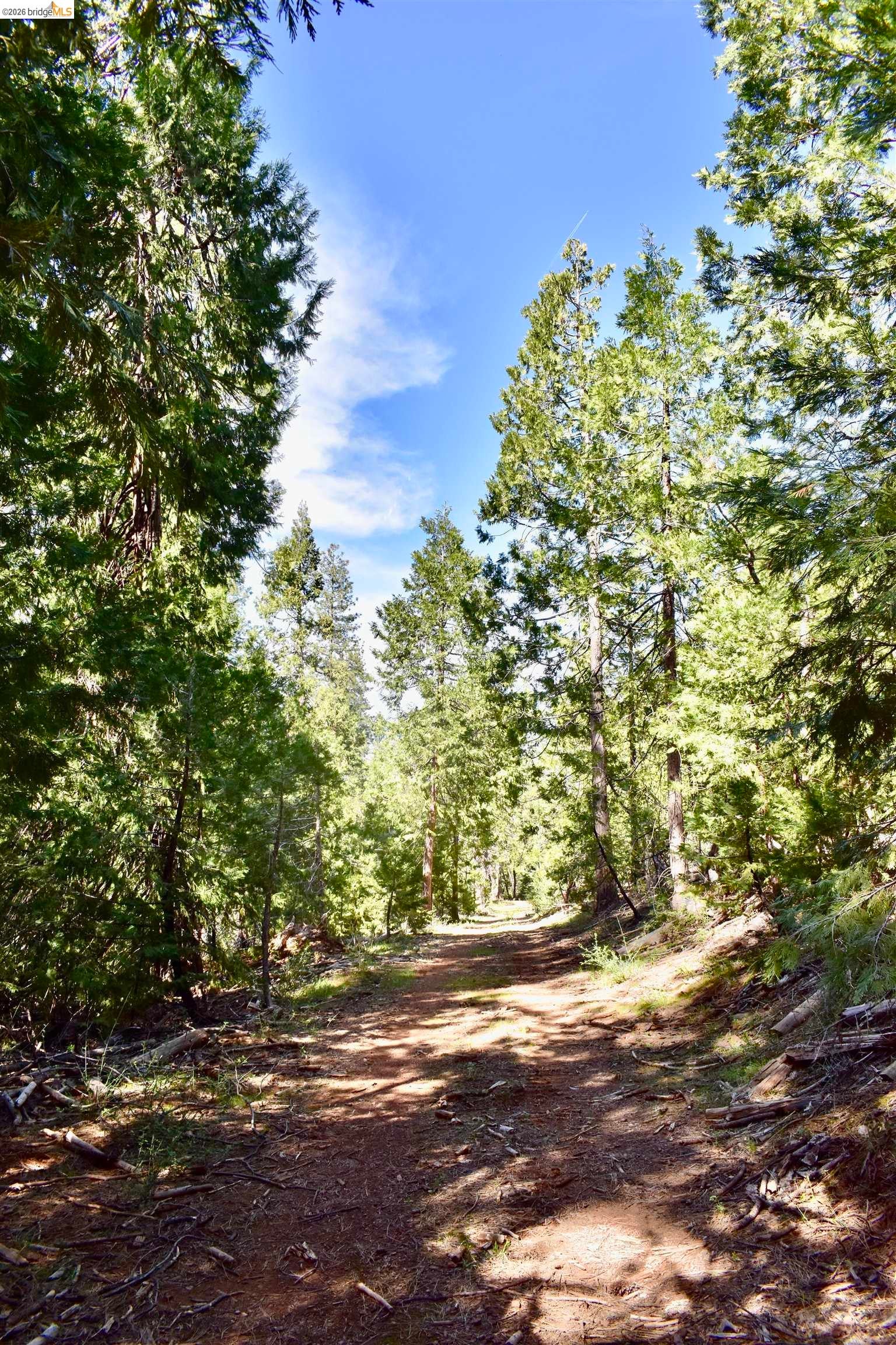 Sonora, California, 95370, United States, 1 Bedroom Bedrooms, ,1 BathroomBathrooms,Residential,For Sale,2034419