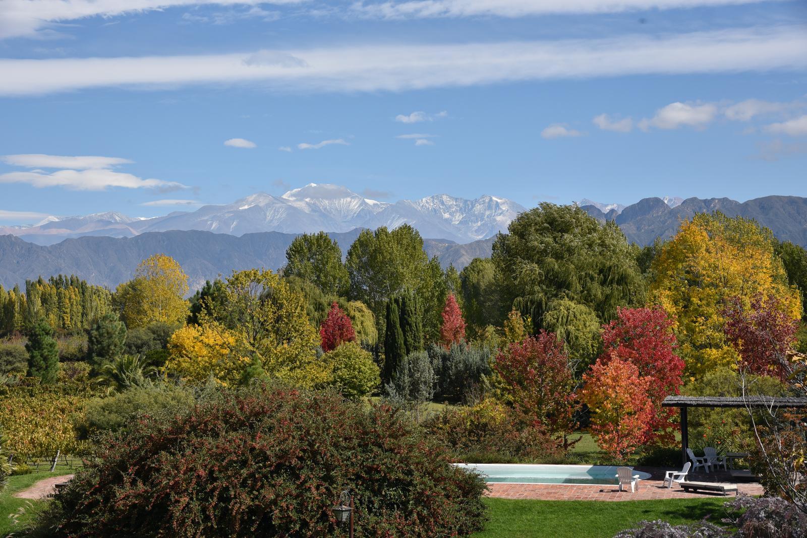 Lujan De Cuyo, AR-M, AR, 5 Bedrooms Bedrooms, ,8 BathroomsBathrooms,Residential,For Sale,1999071