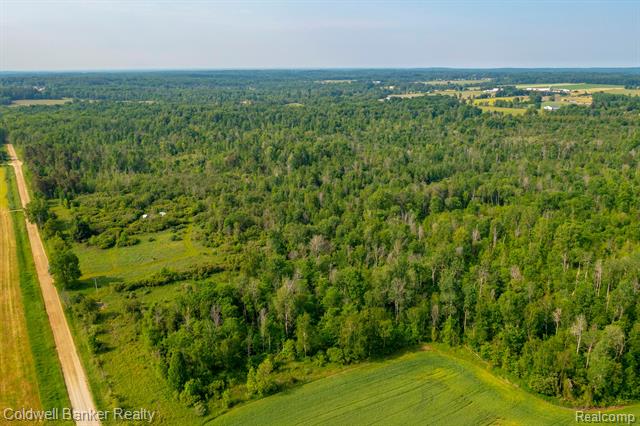 000 Willis Road, Burnside Twp, Michigan, 48416, United States, ,Land,For Sale,000 Willis Road,1288275