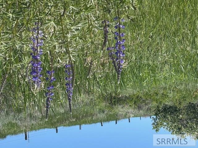 RIRIE, Idaho, 83443, United States, ,Residential,For Sale,1974893