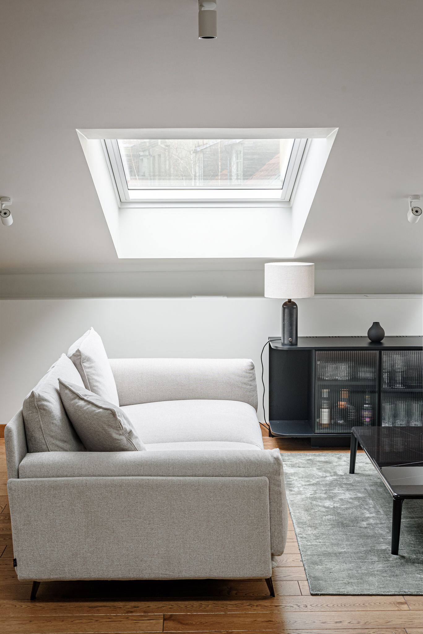  An extraordinary investment in the heart of Vilnius - 物件實景