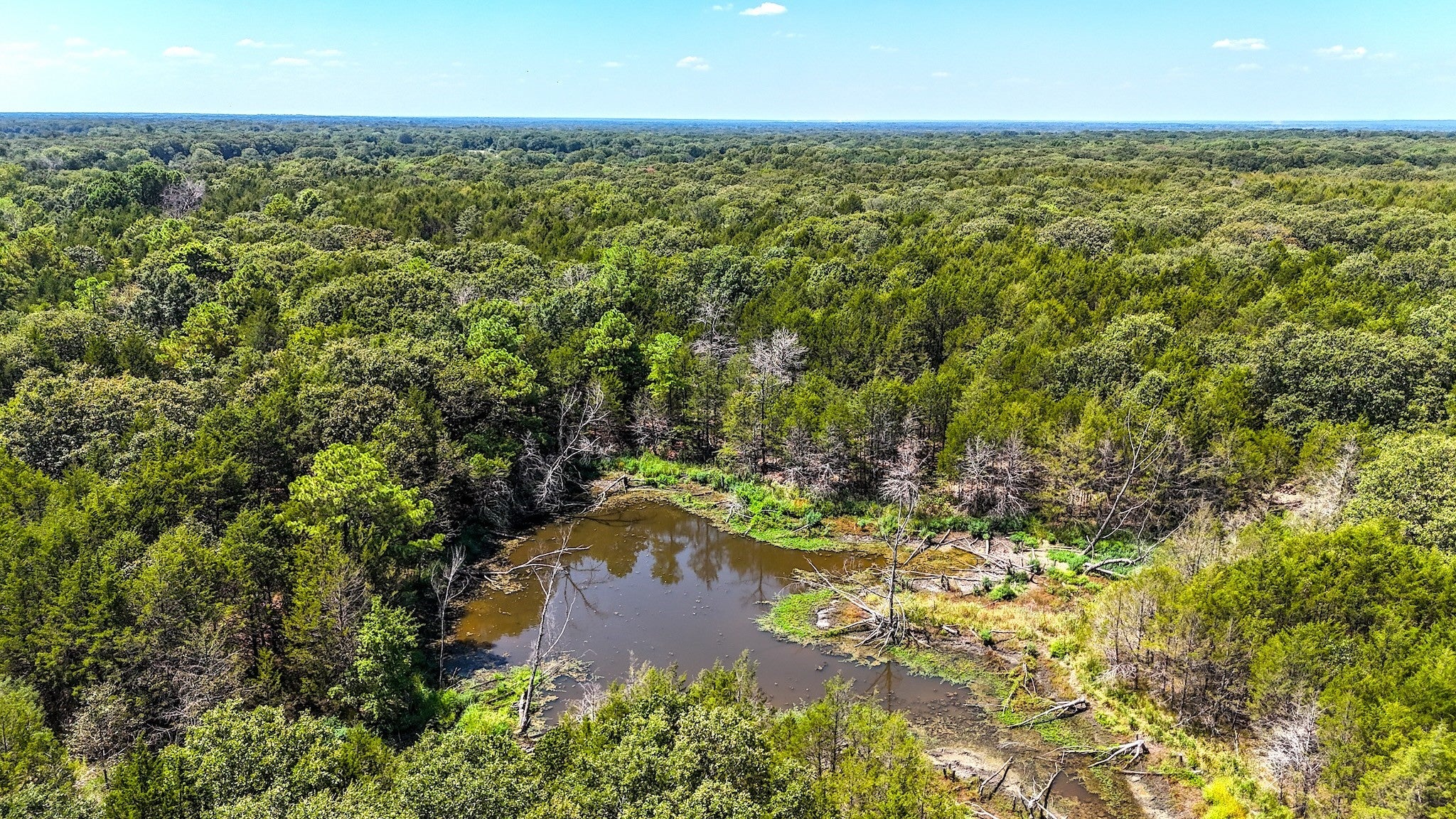 Ivanhoe, Texas, 75447, United States, ,Land,For Sale,1973742
