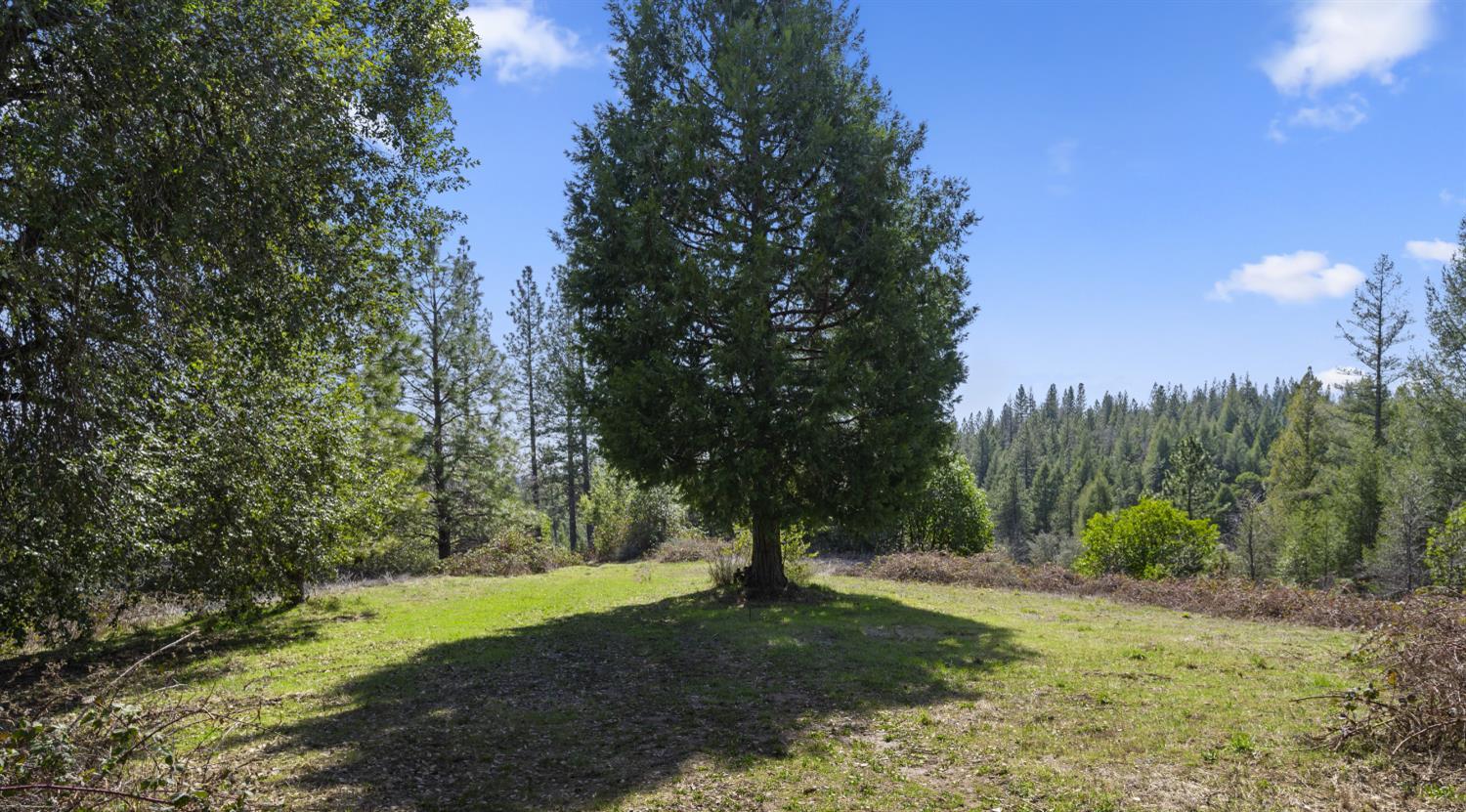 Camptonville, California, 95922, United States, 1 Bedroom Bedrooms, ,2 BathroomsBathrooms,Residential,For Sale,1938019