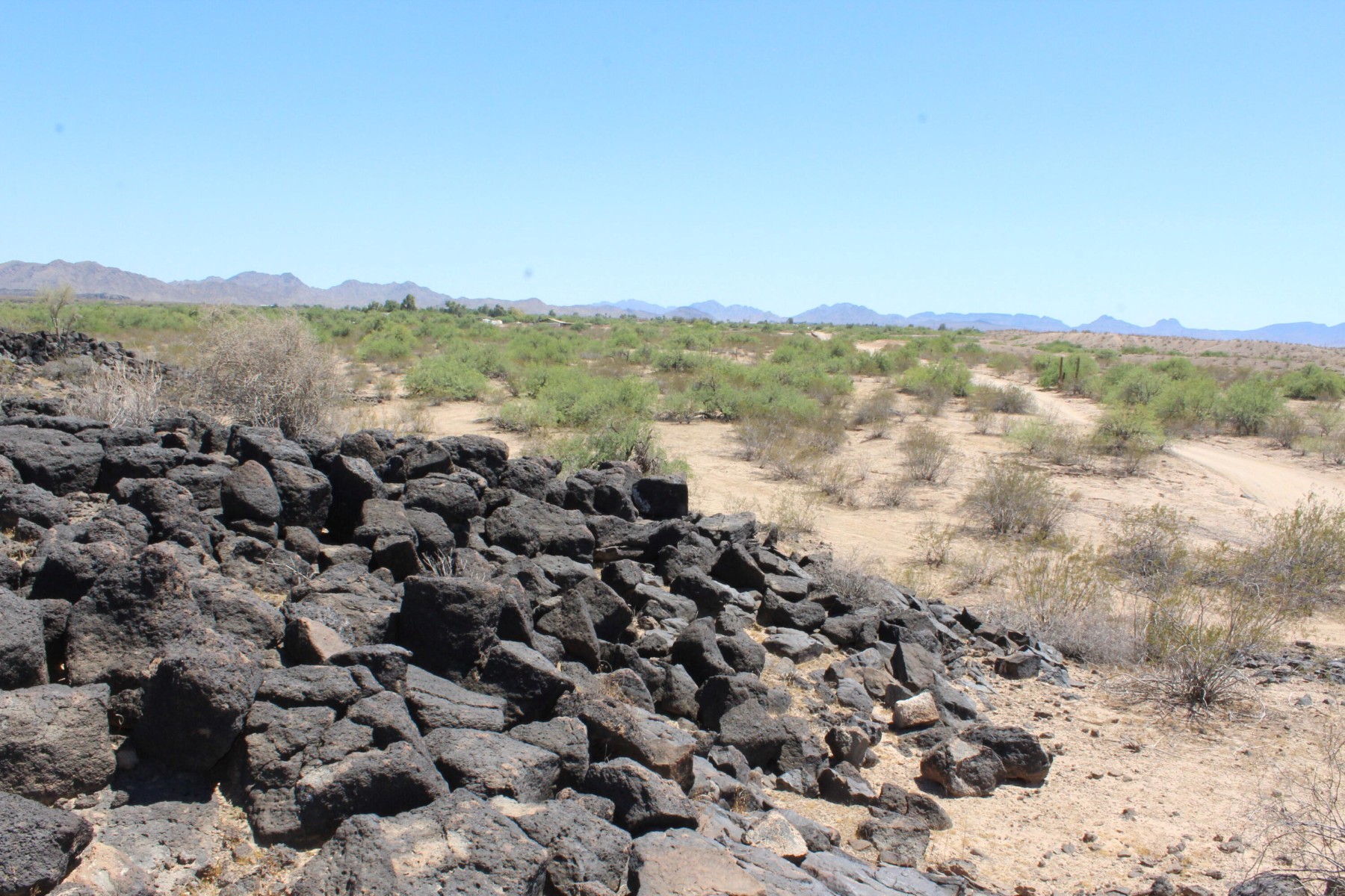  11 S 337th Avenue, Arlington, AZ, 85322 - 物件實景