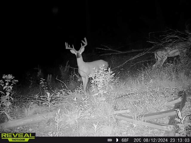 Boston, Kentucky, 40107, United States, 3 Bedrooms Bedrooms, ,2 BathroomsBathrooms,Residential,For Sale,1989069