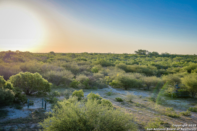 Beeville, Texas, 78102, United States, ,Land,For Sale,1942121