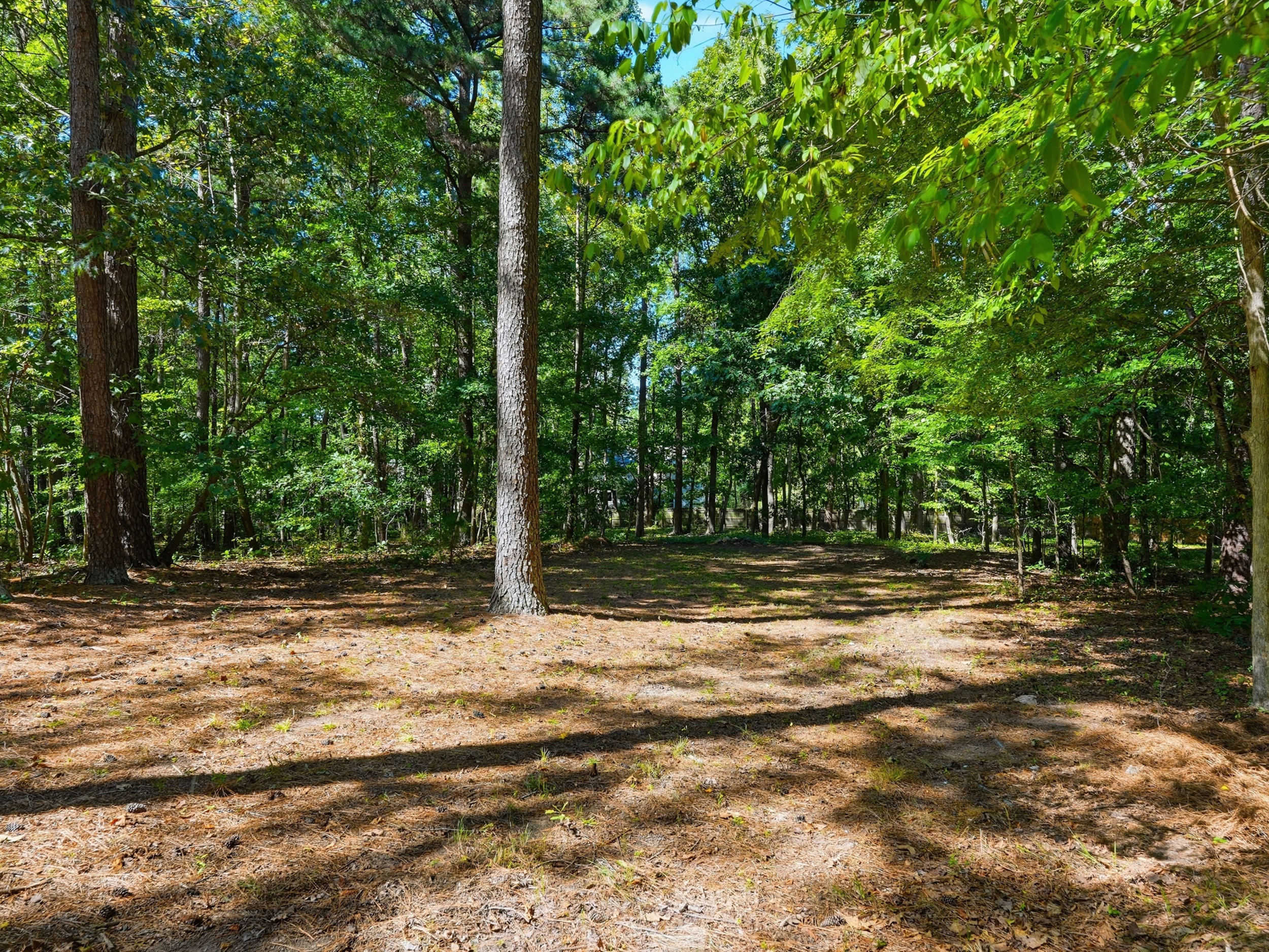  123 Harmony Hill Lane, Cary, NC 27513 - 物件實景