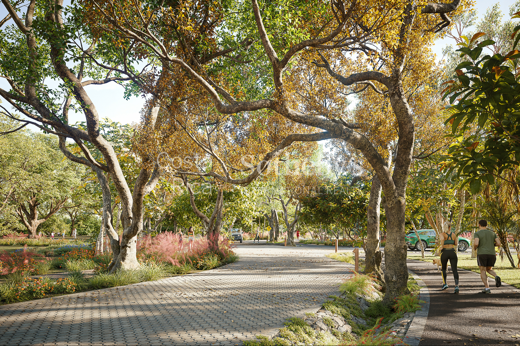  Amazing Lot in Hacienda Pinilla, Lot 10 - 物件實景