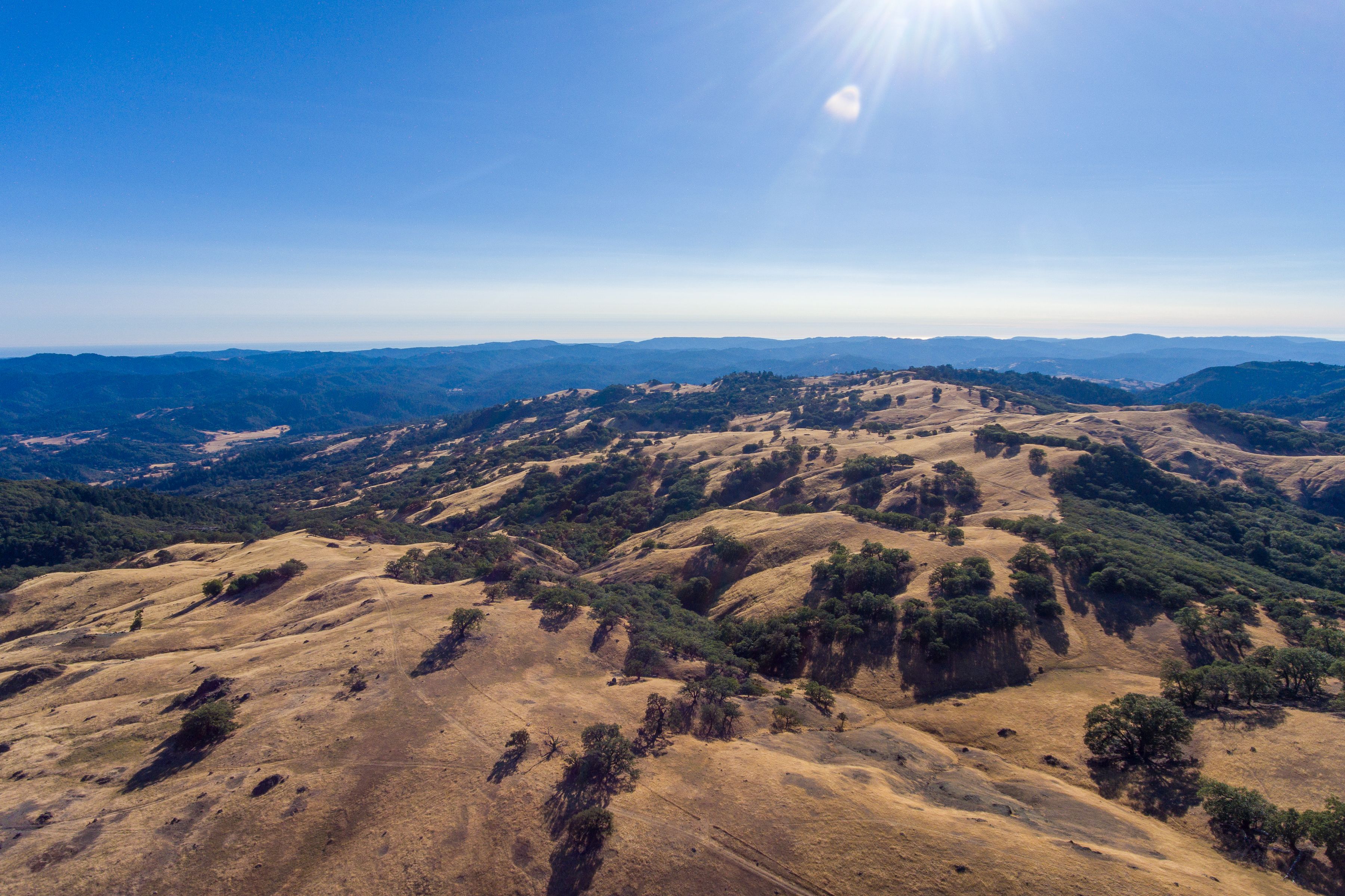  0 County Road 110 None - 物件實景