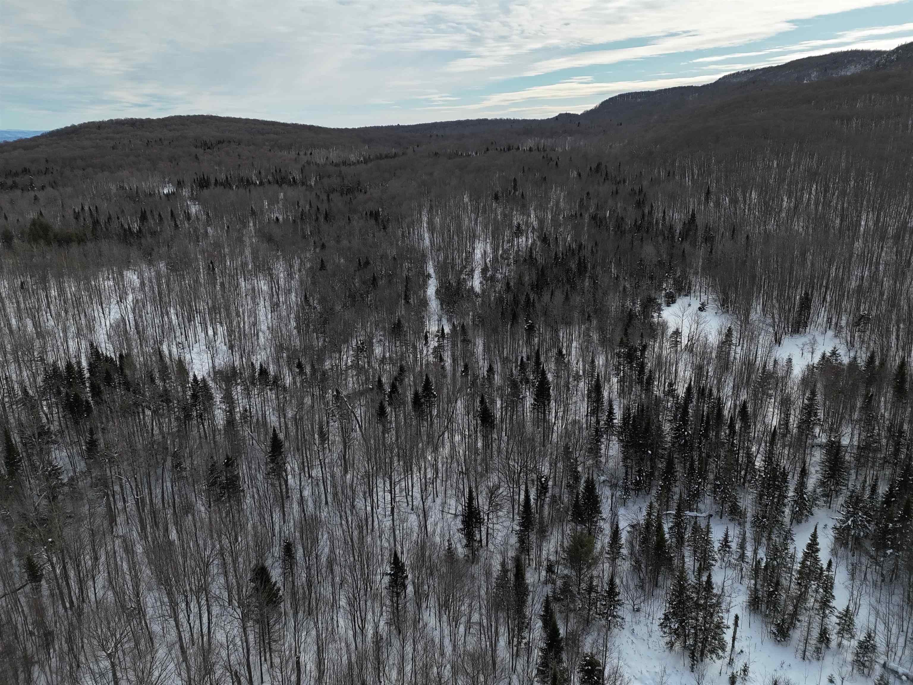 Wheelock, Vermont, 05851, United States, ,Land,For Sale,2017707