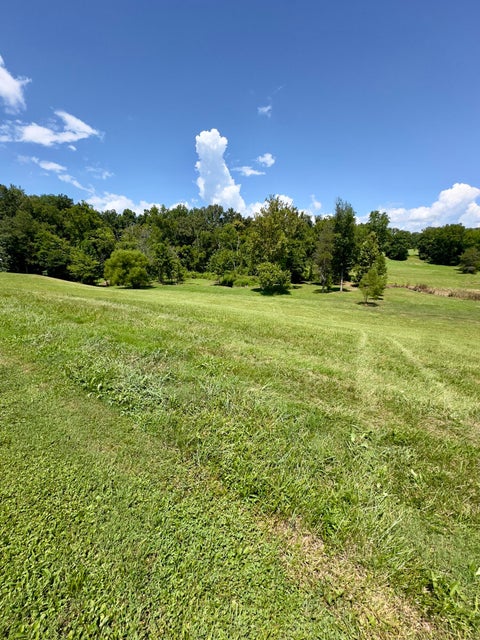 Albany, Kentucky, 42602, United States, 4 Bedrooms Bedrooms, ,2 BathroomsBathrooms,Residential,For Sale,1905722
