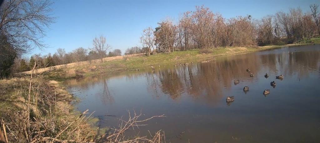 Yantis, Texas, 75497, United States, ,Land,For Sale,1917714