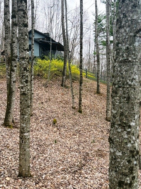 West Jefferson, North Carolina, 28694, United States, 2 Bedrooms Bedrooms, ,2 BathroomsBathrooms,Residential,For Sale,1986104