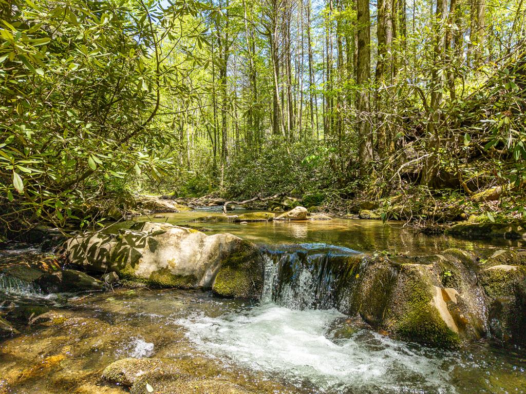 Ellijay, Georgia, 30540, United States, 5 Bedrooms Bedrooms, ,5 BathroomsBathrooms,Residential,For Sale,1868155