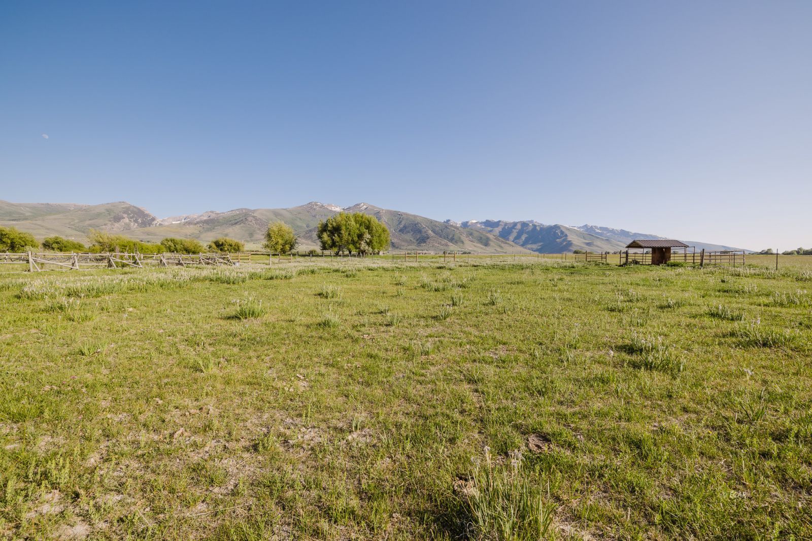 Lamoille, Nevada, 89828, United States, 3 Bedrooms Bedrooms, ,3 BathroomsBathrooms,Residential,For Sale,1849889