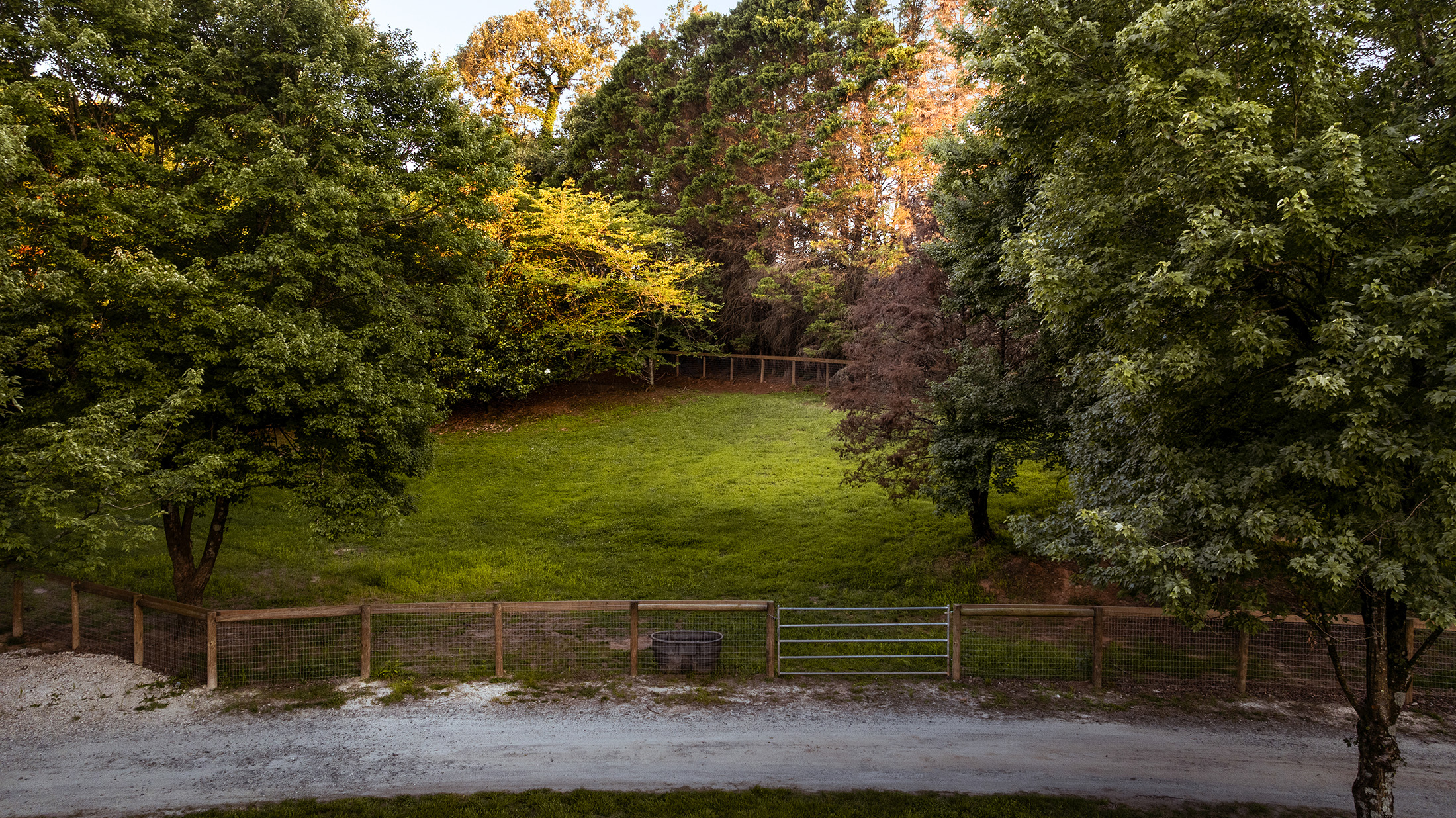  Rare Equestrian Facility with Prestigious Address - 物件實景
