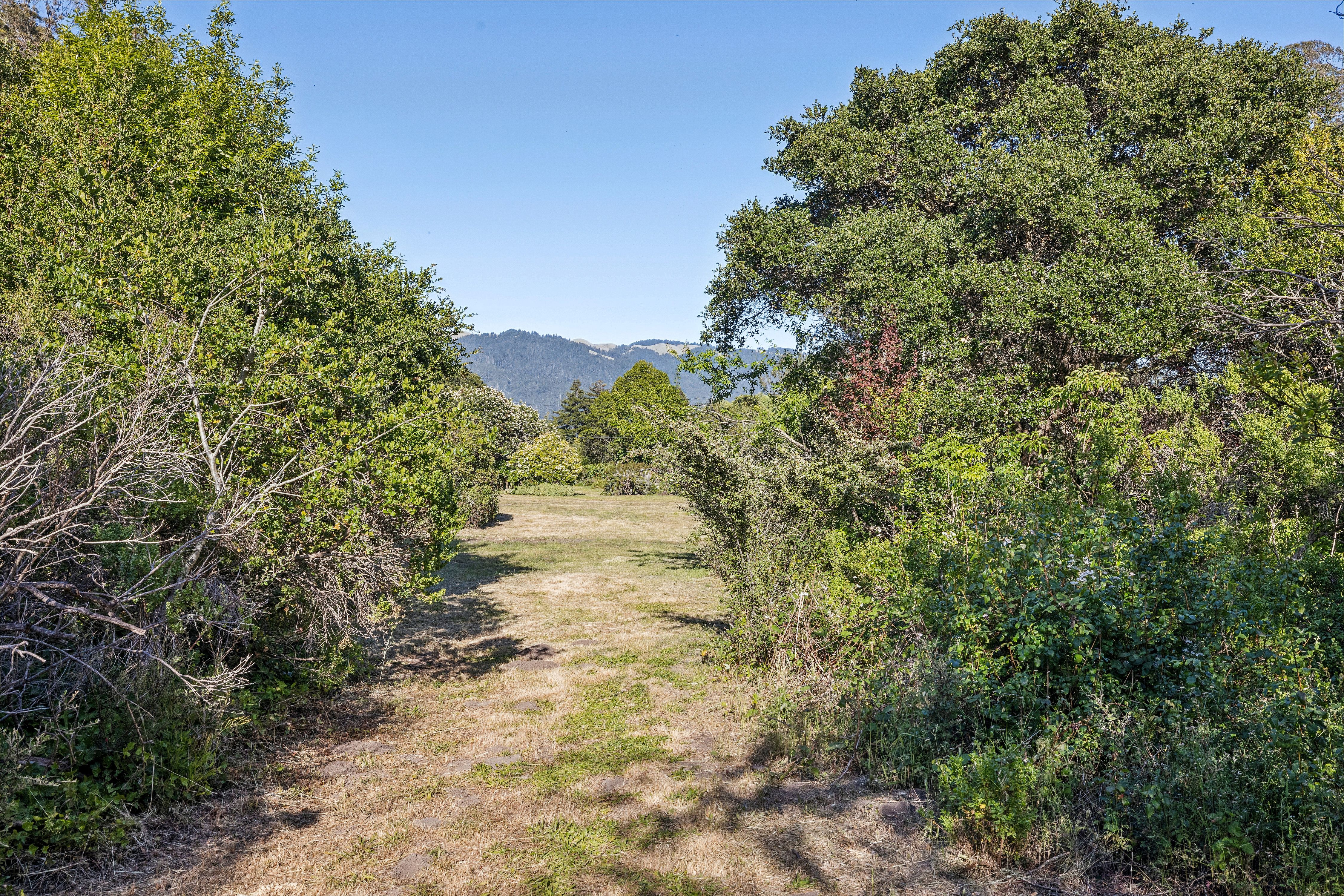  Bolinas Legend – Oldest Residence on Coastal Marin - 物件實景