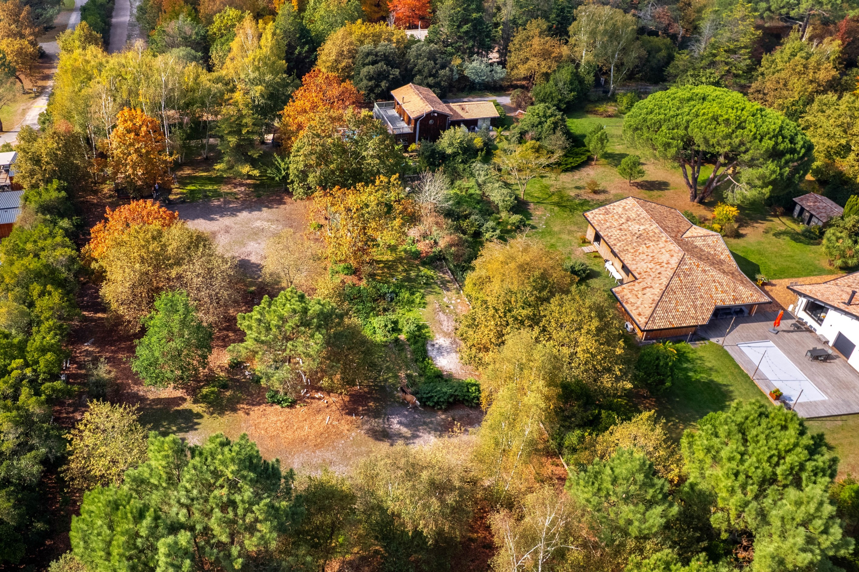  CHARMING WOOD-CLAD VILLA IN A QUIET, IDYLLIC LOCATION IN THE HEART OF A FULLY F… - 物件實景