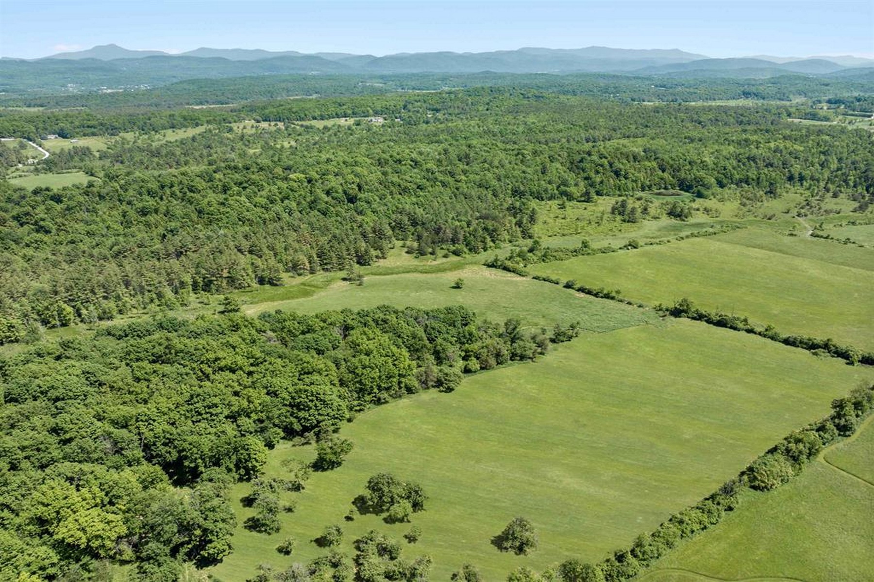  1555 Spear Street - 物件實景