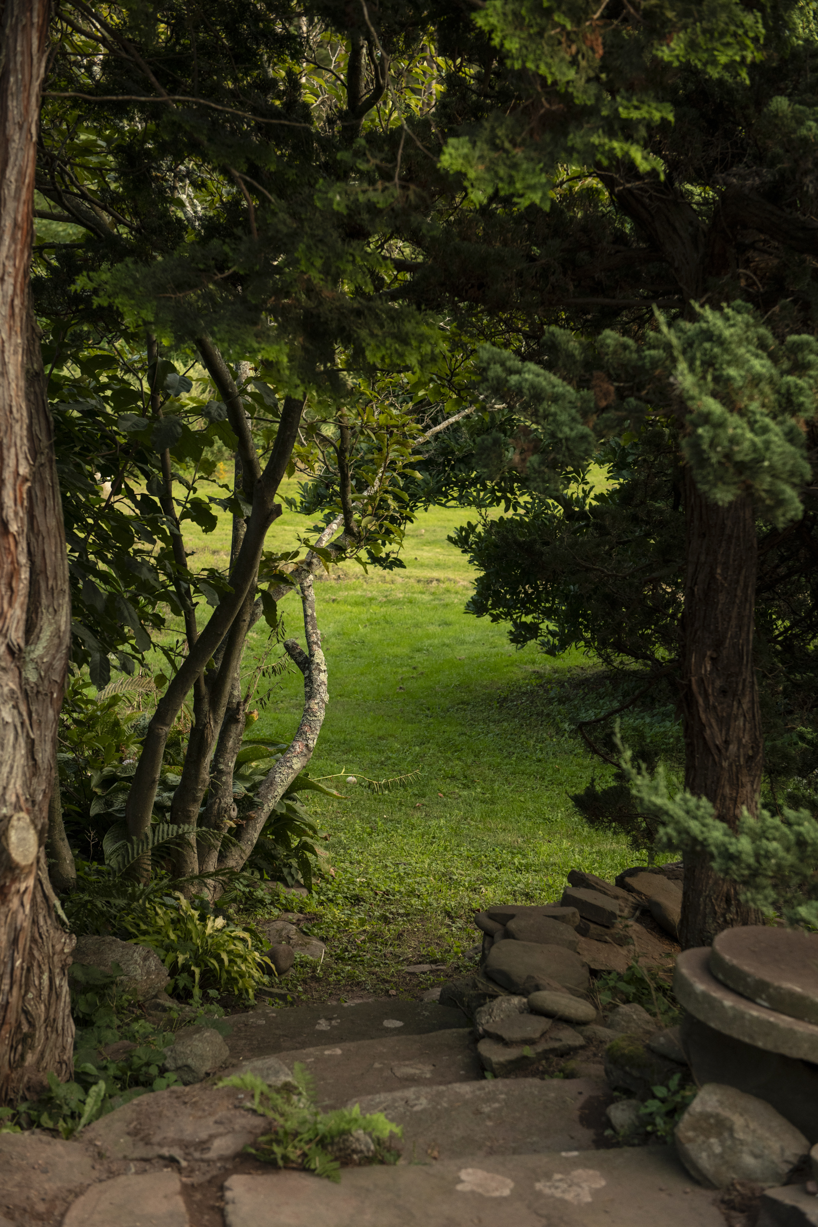  38 Van Road, Lexington, NY 12452 - 物件實景